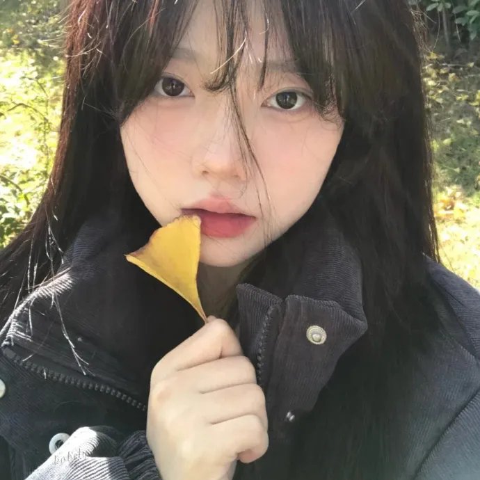 我的女官大人